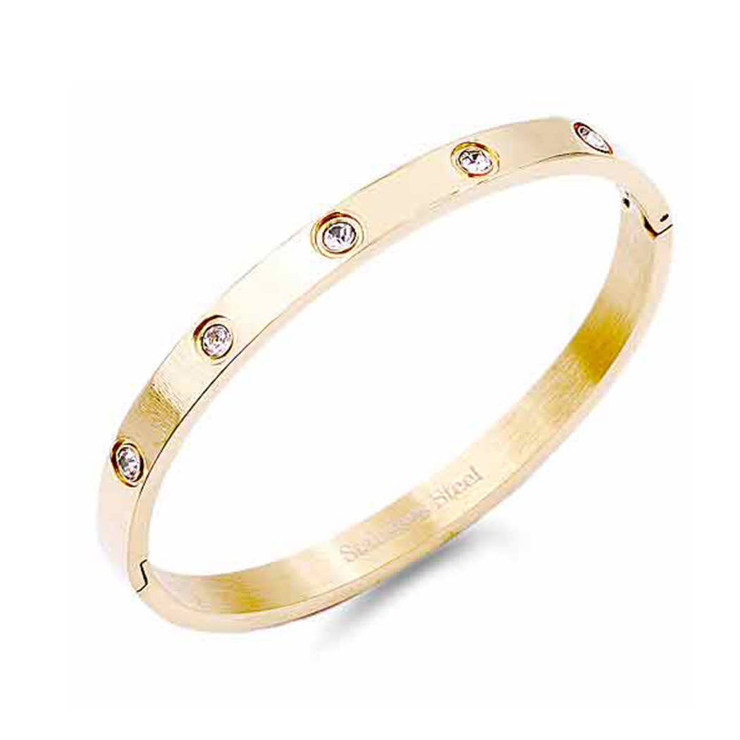 Stainless Steel Bangle with Jewel Stone: ONE SIZE / RG